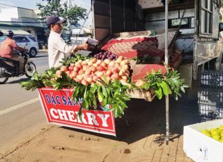 Lâm Đồng: Cẩn thận với đào ngoại nhập “đội lốt” đặc sản Sa Pa