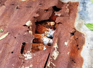 Phát hiện hầm đạn cối dưới chân đèo Bảo Lộc