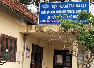 Đà Lạt: Giám đốc dùng bằng giả, HTX taxi với hàng trăm tài xế bị thu hồi giấy phép