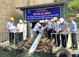 Lâm Đồng: Công ty Thủy điện Đồng Nai thả 3 vạn con cá xuống các hồ Đồng Nai 3 và Đồng Nai 4