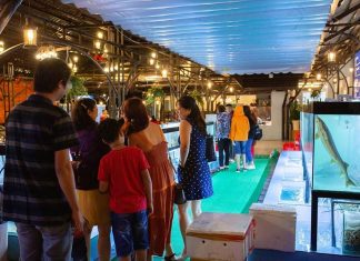 Bảo Lộc: Hải sản Hoa Biển, “ôm trọn biển khơi” về nơi phố núi