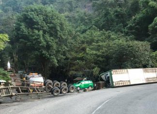 Xe chở 20 tấn sầu riêng lật, “phơi bụng” giữa đèo Bảo Lộc