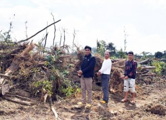 Lâm Đồng: Dùng cưa máy, xe cơ giới phá nát rừng phòng hộ, 3 đối tượng bị bắt
