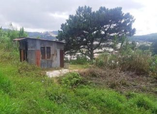 UBND Đà Lạt bị tố vi phạm quy trình cấp sổ đỏ