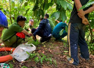 Bảo Lộc: Phát hiện thi thể người đàn ông nổi trên suối nước Đục