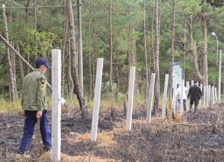 Đà Lạt: Giải tỏa nóng khu vực đất rừng bị phân lô, bán nền