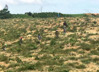 Lâm Hà: Giải tỏa hơn 6 ha đất lâm ngiệp bị lấn chiếm trái phép