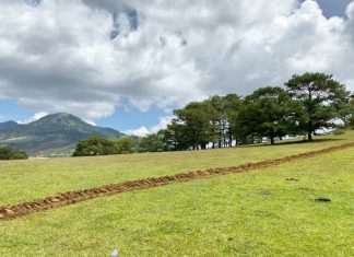 Lâm Đồng: Đồi cỏ hồng ở hồ Đan Kia – Suối Vàng lại bị xâm chiếm