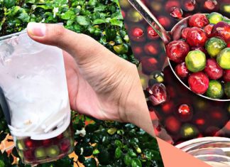 Ly nước dừa nhai thiên nhiên độc lạ xuất hiện tại Đức Trọng