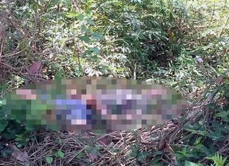 Lâm Đồng: Tá hỏa phát hiện thi thể nhạc công bên bờ suối