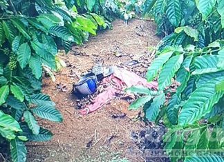 Lâm Đồng: Truy tìm hung thủ sát hại một phụ nữ, cướp tài sản