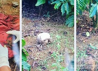 Bắt được hung thủ sát hại người phụ nữ trong vườn cà phê ở Lâm Đồng