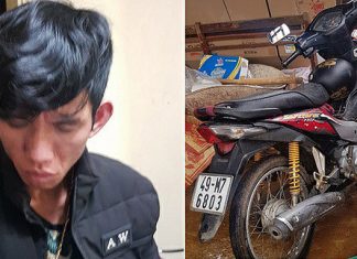 Lâm Đồng: Bắt đối tượng trộm 10.000 cành hoa lily, trị giá hơn 100 triệu đồng