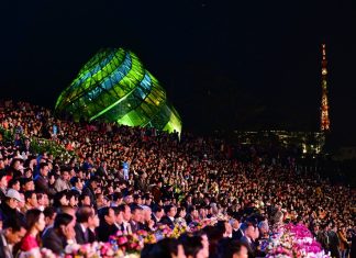 Đà Lạt rực rỡ trong đêm khai mạc Festival hoa