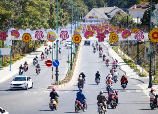 Phố hoa Đà Lạt tất bật vào hội