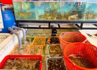 Bảo Lộc: Vựa hải sản, quán nhậu bình dân với nhiều món ngon độc đáo