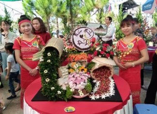 Bảo Lộc: Thi cắm hoa hưởng ứng Tuần Văn hóa Trà và Tơ lụa