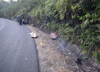 Lâm Đồng: Cán bộ Ban quản lý rừng phòng hộ Phi Liêng tử vong bên đường nghi do tai nạn giao thông