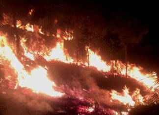 Khống chế đám cháy rừng trên núi Đại Bình