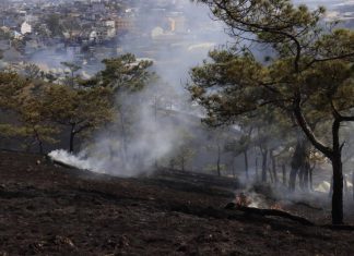 Đà Lạt: Khống chế đám cháy thực bì tại đồi Nguyễn Hoàng