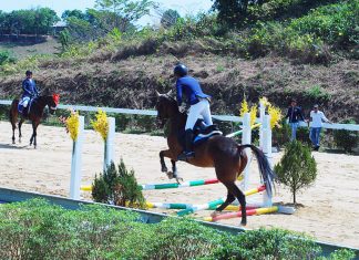 Lâm Đồng: Ra mắt CLB Cưỡi ngựa Olympic