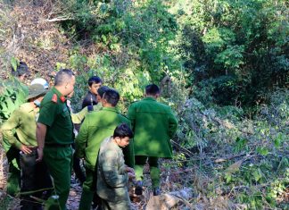 Đà Lạt: Bắt quả tang 3 đối tượng phá rừng phòng hộ