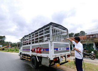 Lâm Đồng công bố hết dịch tả lợn châu Phi