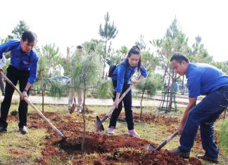 Bảo Lộc: Phát động Tết trồng cây đời đời nhớ ơn Bác