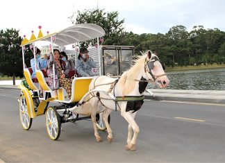 Khách hủy trên 16.000 phòng, Đà Lạt mất 19 tỷ đồng