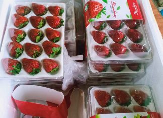 Phát hiện hơn 370 kg dâu tây Trung Quốc sắp ra chợ Đà Lạt