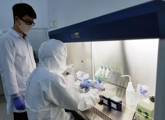 Lâm Đồng: Toàn bộ 211 mẫu xét nghiệm PCR đều âm tính với SARS-CoV-2