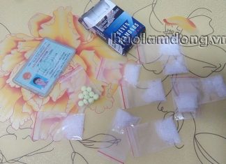 Đà Lạt: Bắt giữ thanh niên tàng trữ ma túy trong phòng trọ