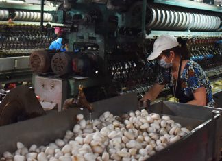 Lâm Đồng: Giá kén tằm, ớt chuông tăng 5.000- 15.000 đồng/kg