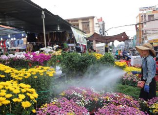 Thông báo đăng ký Hội hoa xuân Tân Sửu 2021 tại chợ cũ Bảo Lộc và đường Nguyễn Công Trứ nối dài