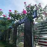 41a8a7d1ee3d1e63472c