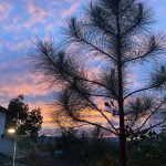 59dfd5a59c496c173558