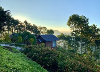 Je T’aime Villa, câu chuyện của những người “bỏ phố lên rừng”