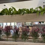 c84f9e00ceec3eb267fd