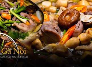 Lẩu gà nòi đặc sản vùng đất Sa Đéc nay đã có mặt tại Bảo Lộc