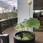 z2294034693862_3fdea9dc9fd80d1ddc5be7f411ee4e3b