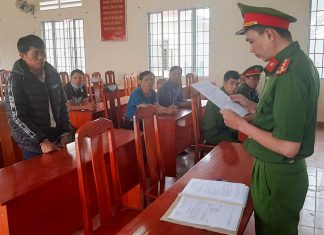 Di Linh: Khởi tố, bắt tạm giam đối tượng chặt phá cây trồng