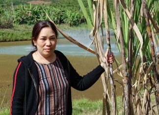 Bảo Lộc: Tỷ phú nuôi cá rô phi