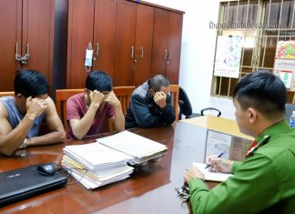 Bảo Lộc: Tạm giữ nhiều người đá gà ăn tiền