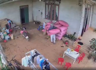 Lâm Đồng: Nghi phạm trộm tiêu ra đầu thú tại Công an xã