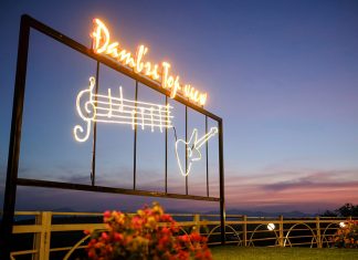 Damb’ri Top View – Homestay xinh lung linh kết hợp với một “Tiệm cafe trên mây”