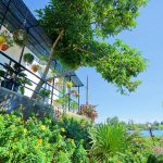 An-An-Homestay-2