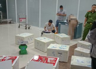 Lâm Đồng: Thu giữ hơn 2 tạ dâu tây nhập lậu qua đường hàng không