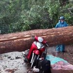 cay-co-thu-gay-do-de-2-phu-nu-di-xe-may-thuong-vong