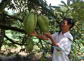 Lâm Đồng: Phê duyệt quy hoạch xây dựng vùng huyện Đạ Huoai đến năm 2035, tầm nhìn đến năm 2050