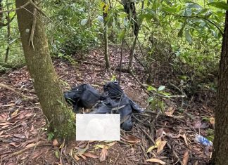 Bảo Lộc: Phát hiện thi thể phân hủy trong rừng tràm